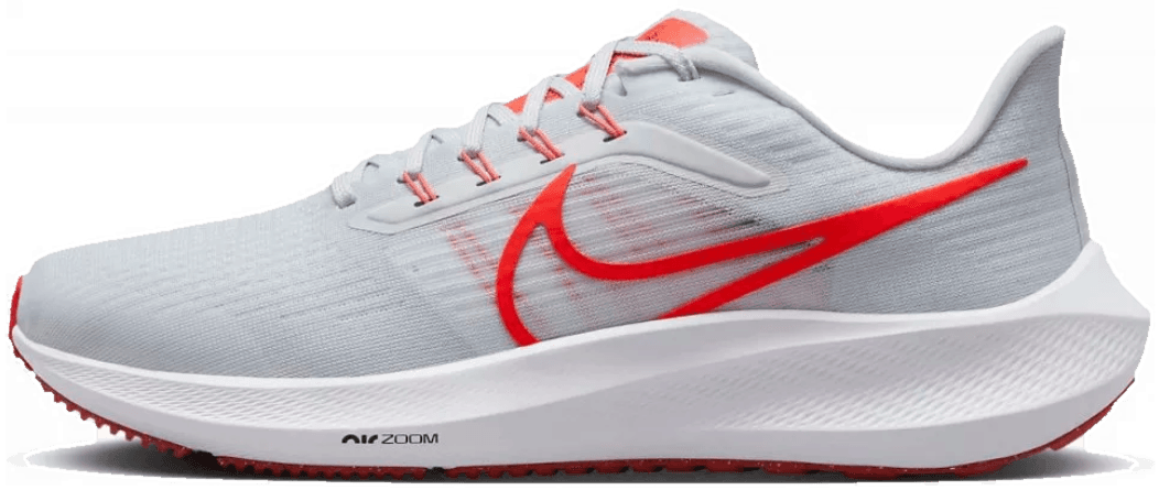 Nike Pegasus 39