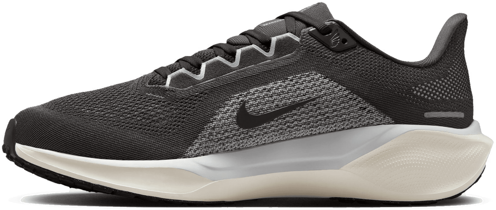 Nike Pegasus 41