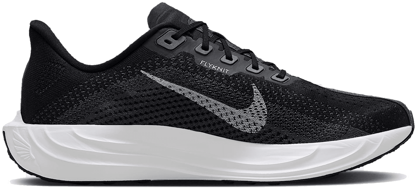 Nike Pegasus Plus